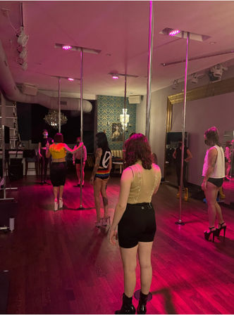 Luxury Pole, Lap, or Twerk Dance Party & Private Bar Experience image 3