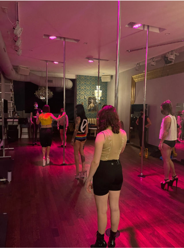 Luxury Pole, Lap, or Twerk Dance Party & Private Bar Experience image 3
