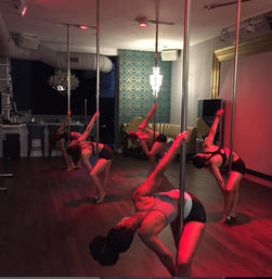 Luxury Pole, Lap, or Twerk Dance Party & Private Bar Experience image 2
