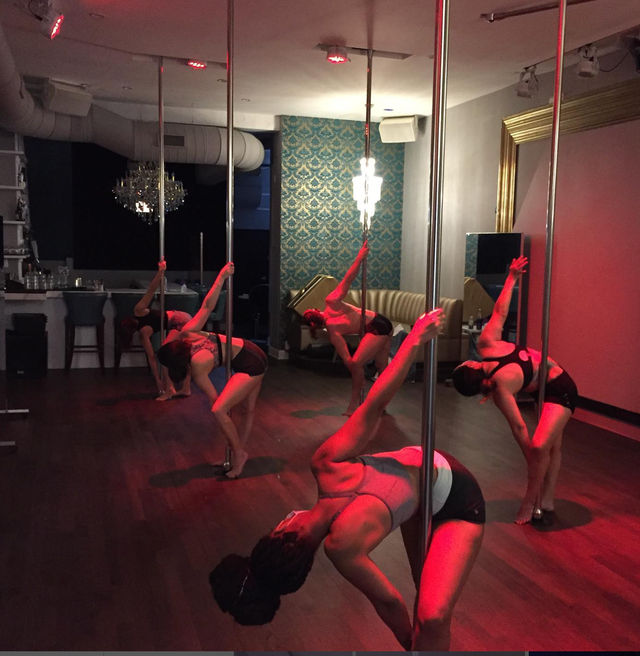 Luxury Pole, Lap, or Twerk Dance Party & Private Bar Experience image 3