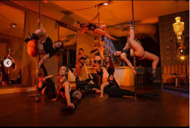 Luxury Pole, Lap, or Twerk Dance Party & Private Bar Experience image 4
