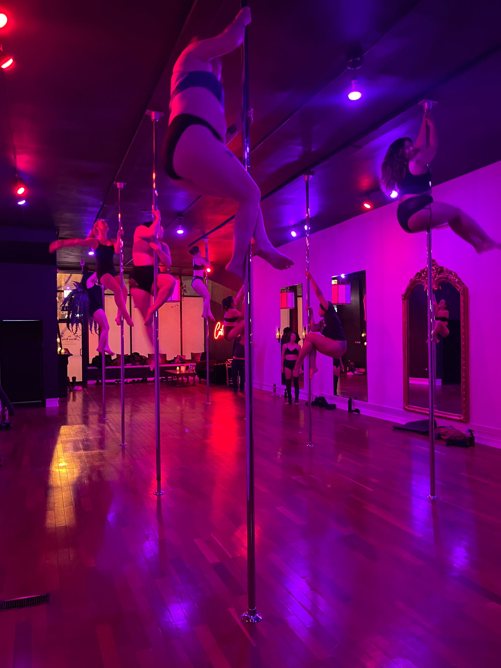 Luxury Pole, Lap, or Twerk Dance Party & Private Bar Experience image 2