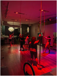 Luxury Pole, Lap, or Twerk Dance Party & Private Bar Experience image 8