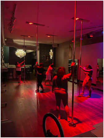 Luxury Pole, Lap, or Twerk Dance Party & Private Bar Experience image 8