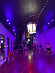 Luxury Pole, Lap, or Twerk Dance Party & Private Bar Experience image 14