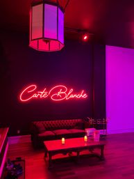 Luxury Pole, Lap, or Twerk Dance Party & Private Bar Experience image 13