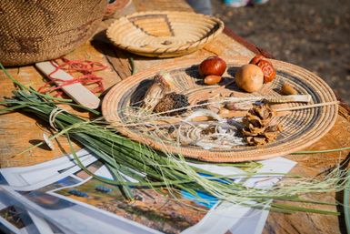 Guided Foraging Experience at Santa Margarita Ranch image 4