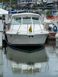 30 ft. Tiara Yatch Charter with Captain & Mate: Cruise to Islands East of Fajardo image 5