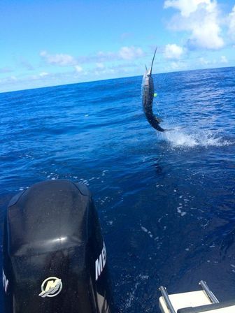 30 ft. Tiara Yatch Charter with Captain & Mate: Cruise to Islands East of Fajardo image 8