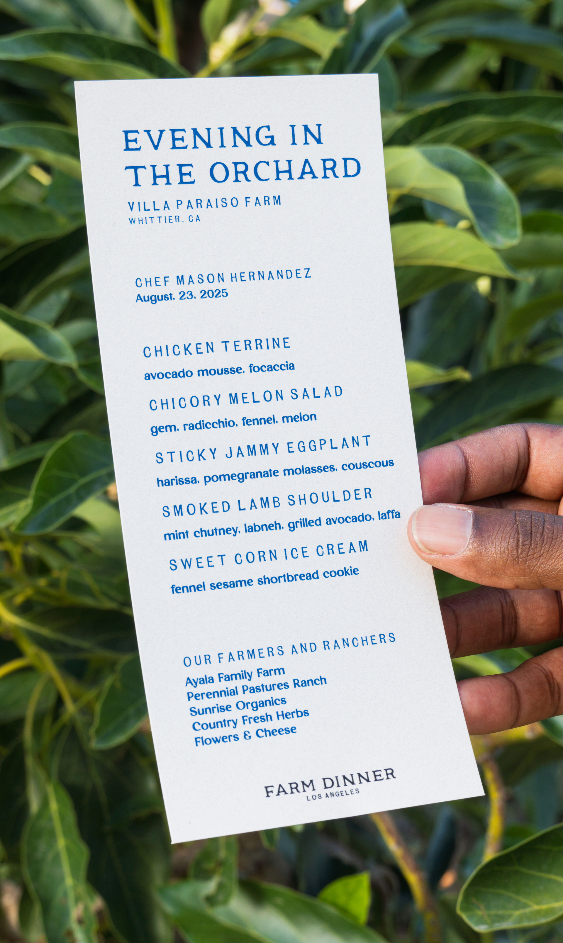 Farm-to-Table Outdoor Dining Experience image 2