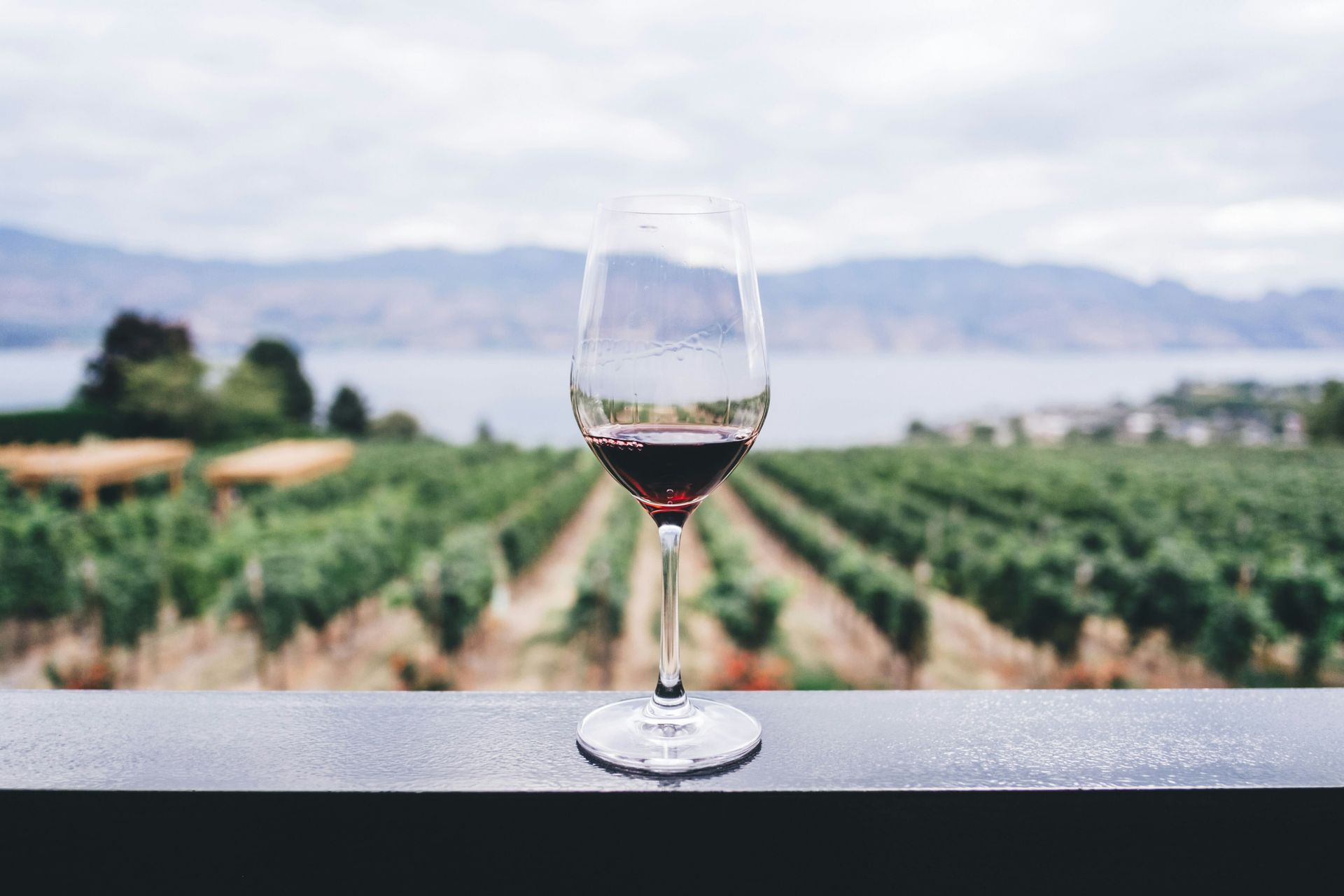 Sedona & Verde Valley Winery Tour image 2