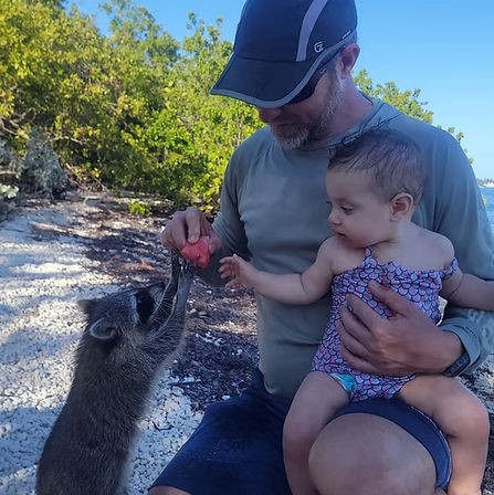 Raccoon Island Exploration on SUPs or Kayaks from Haulover Marina image 6