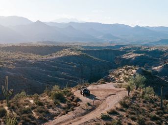 Tonto National Forest Half-Day Off-Road Can-Am Adventure image 11