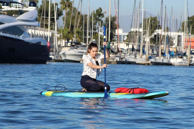 Kayak or Stand-Up Paddle Board Tour with Sea Lion and Marine Life Spotting image 3