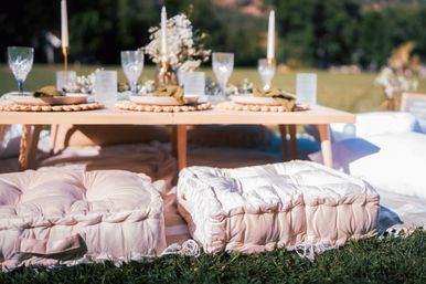 Luxury Boho Picnics in Denver for Brides, Besties & Birthdays image 9
