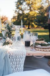 Luxury Boho Picnics in Denver for Brides, Besties & Birthdays image 16