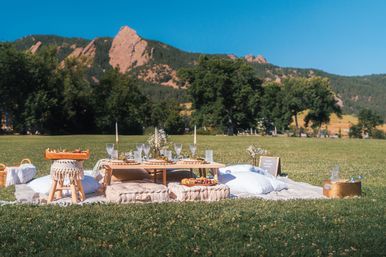 Luxury Boho Picnics in Denver for Brides, Besties & Birthdays image 3