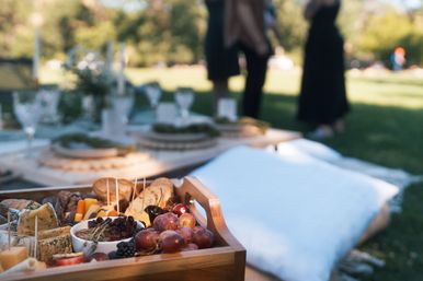 Luxury Boho Picnics in Denver for Brides, Besties & Birthdays image 10