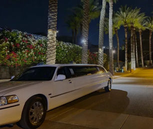 White stretch limousine parked on a palm-lined boulevard at night, illuminated palm trees and colorful flowering hedges in the background