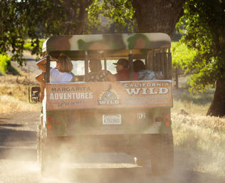 Nature Tour Experience: 2-Hour Guided Tour of Santa Margarita Ranch  image 1