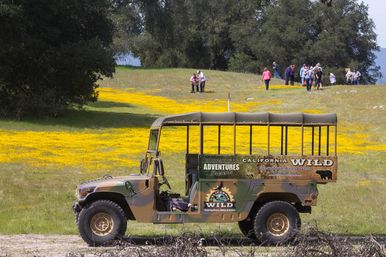Nature Tour Experience: 2-Hour Guided Tour of Santa Margarita Ranch  image 4