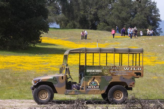 Nature Tour Experience: 2-Hour Guided Tour of Santa Margarita Ranch  image 4