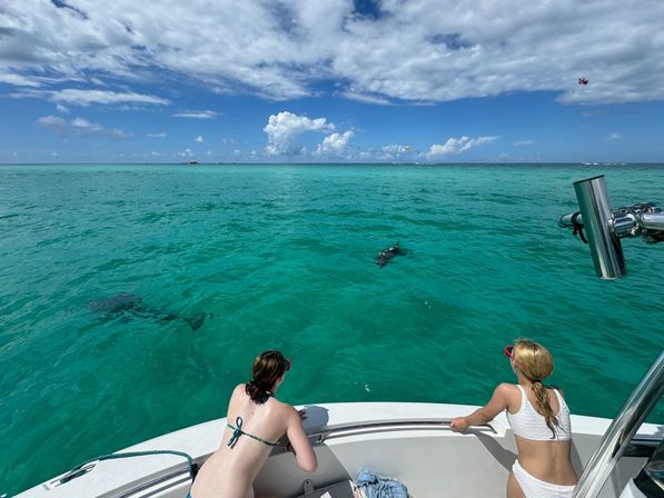 Private Morning Dolphin Adventure Charter (Up to 6 People) image 4