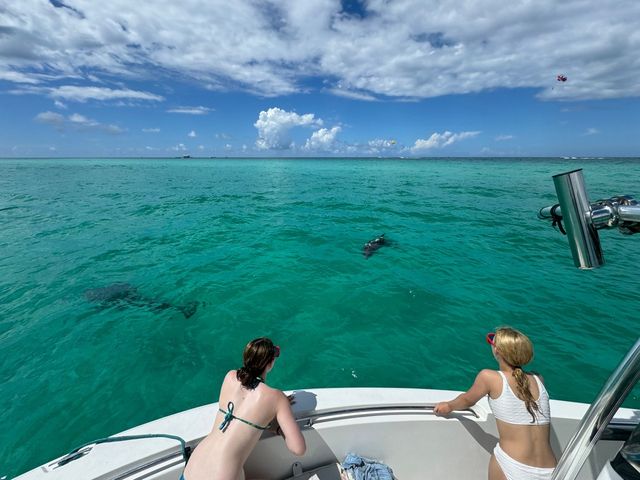 Private Morning Dolphin Adventure Charter (Up to 6 People) image 4