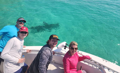 Private Morning Dolphin Adventure Charter (Up to 6 People) image 2