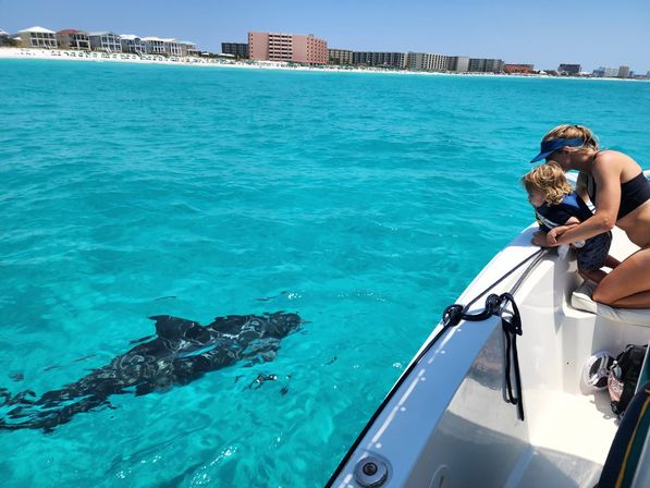 Private Morning Dolphin Adventure Charter (Up to 6 People) image 5