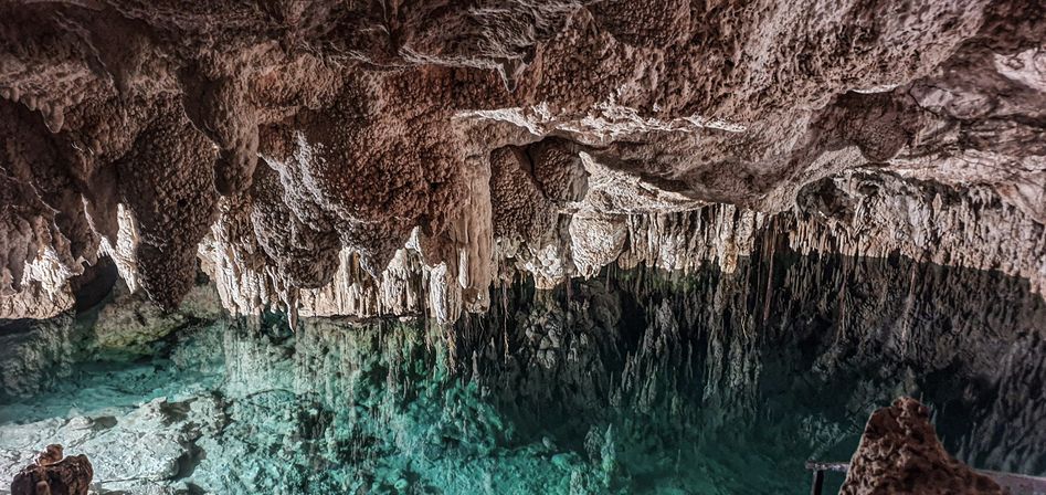 Mayan Jungle Trek: Cenotes, Zip Lines & Jungle Lunch image 9
