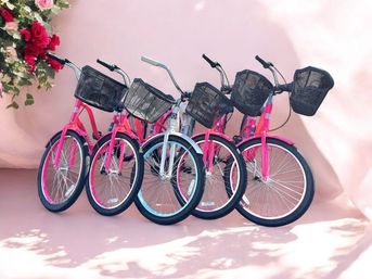 Holy City Bike Rentals: Discover Charleston by Bicycle image 3