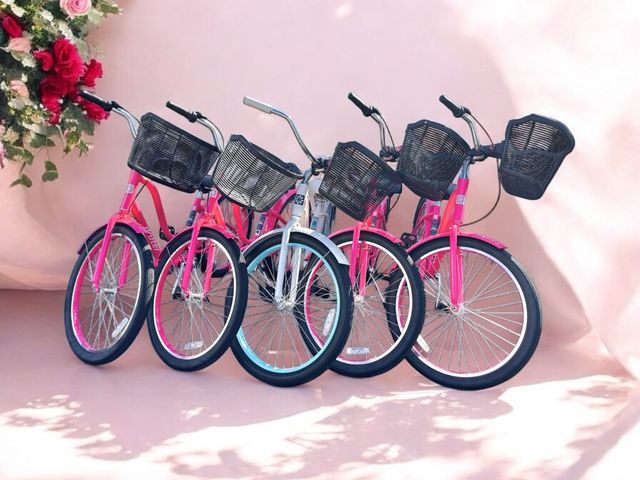 Holy City Bike Rentals: Discover Charleston by Bicycle image 3