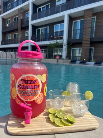 Alcohol Delivery for your Airbnb: Stock Your Fridge with Bubbly, Beer + Batched Cocktails image 10