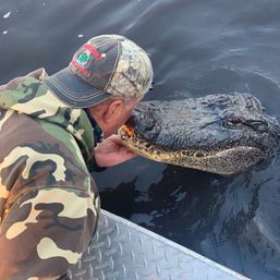 Gators & Guns Tour: Airboat + Shooting Range Adventure Near New Orleans image 4
