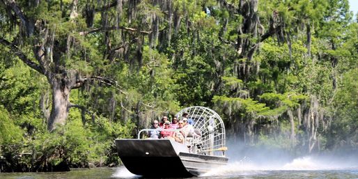 Gators & Guns Tour: Airboat + Shooting Range Adventure Near New Orleans image 6
