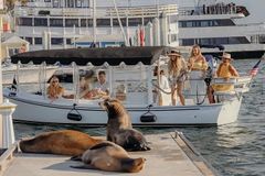 Thumbnail image for Boat Cruise with Wine, Charcuterie Board & Sea Lions Spotting