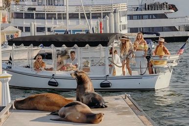 Boat Cruise with Wine, Charcuterie Board & Sea Lions Spotting image