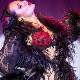 BYOB Pole Class with a Professional Dancer & Gift Bag for Your VIP image 4