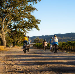 E-Bike Vineyard Tour: 2-Hour Guided Ride + Wine Tasting image 2