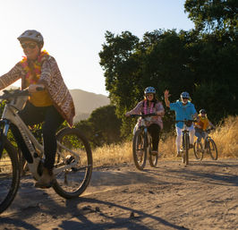 E-Bike Vineyard Tour: 2-Hour Guided Ride + Wine Tasting image 4