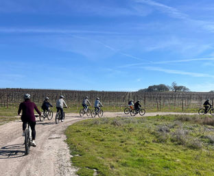 E-Bike Vineyard Tour: 2-Hour Guided Ride + Wine Tasting image 5