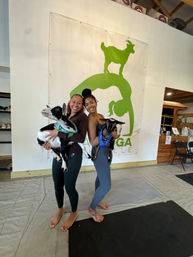 Goat Yoga Group Class (Beginner-friendly with Endless Photo Ops) image 27