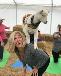 Goat Yoga Group Class (Beginner-friendly with Endless Photo Ops) image 9