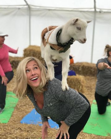 Goat Yoga Group Class (Beginner-friendly with Endless Photo Ops) image 9