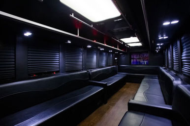 Tampa Luxe: Luxury Sprinter Limos & Party Buses image 17