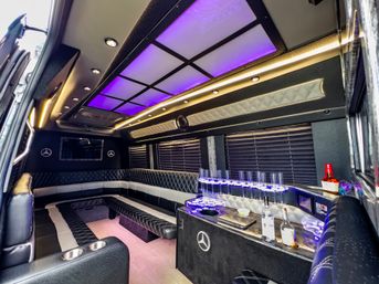 Tampa Luxe: Luxury Sprinter Limos & Party Buses image 7