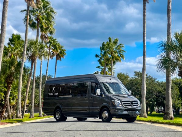 Tampa Luxe: Luxury Sprinter Limos & Party Buses image 2