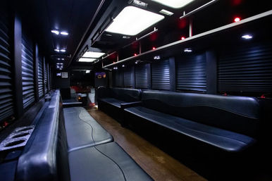 Tampa Luxe: Luxury Sprinter Limos & Party Buses image 16
