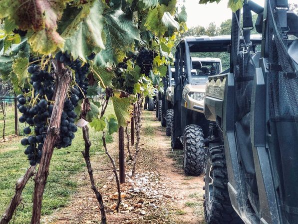 Tennessee Off-Road Winery Tour Back Country Adventure: Side-by-Side Ride with Guide & Optional Roundtrip Shuttle image 14